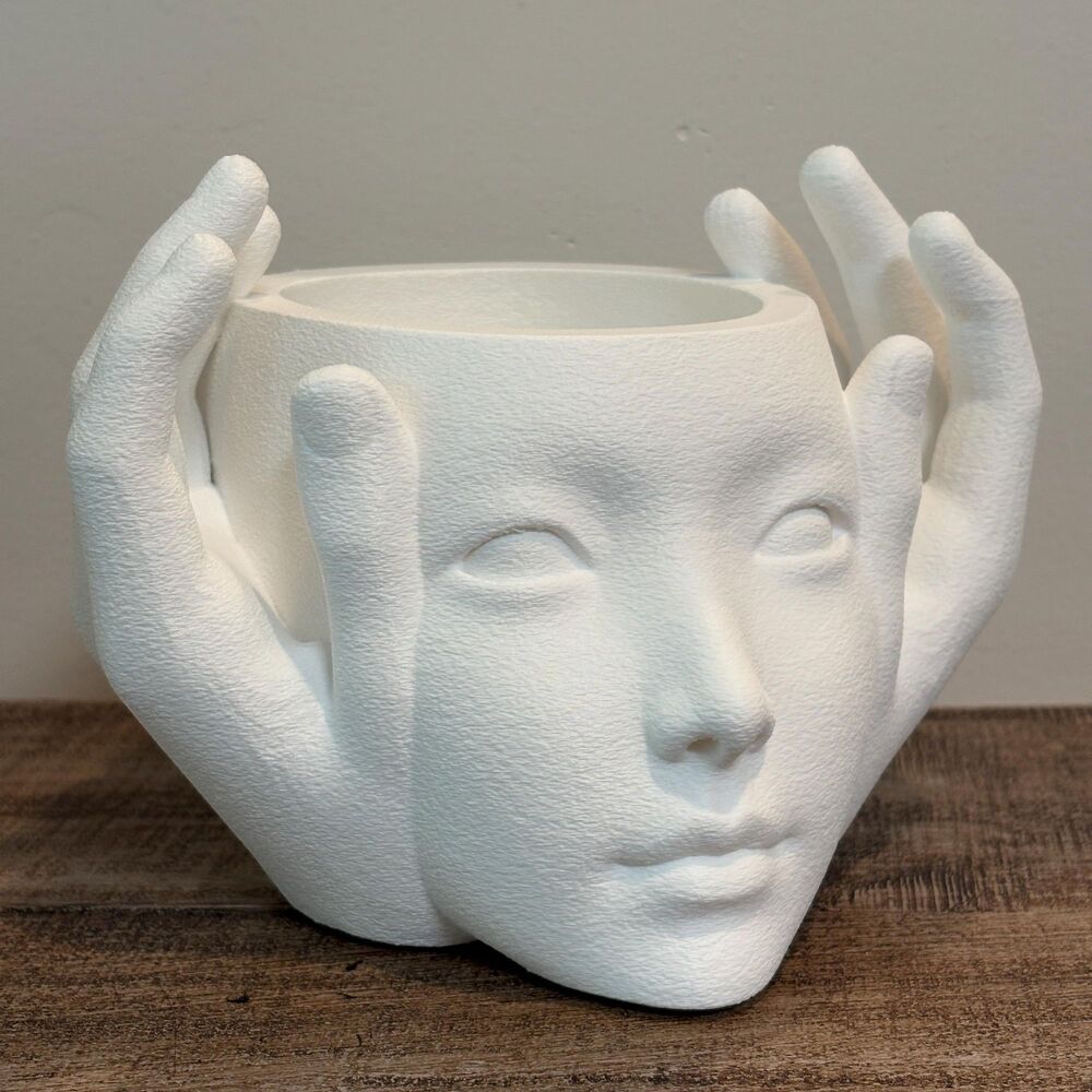 Face Planter, Head Planter, Succulent Planter, Plant Pot, Indoor Planter, Decora